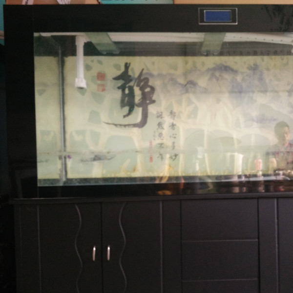 鋼琴、魚缸專運現(xiàn)場